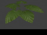 Plant with big Leaves created by Rick_D