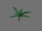 Farn_1 / Fern_1 created by nebukadnezar