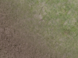 Blend grass/mud
