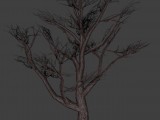 Dead tree (Toter Baum) created by Nauz