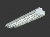 trellised light created by penE