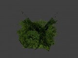 Bushes | Büsche created by Rick_D