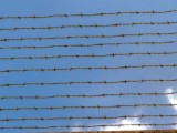 barbed wire/Stacheldraht created by Nikl