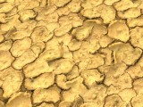 cracked mud/rissiger lehm created by Nikl