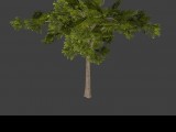 Jungle Tree created by Rick_D