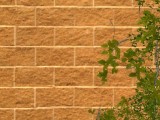 Brick_Wall created by Fox