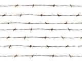 barbed wire/Stacheldraht
