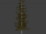 Pine | Pinie created by Rick_D