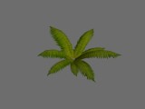 Farn_3 / Fern_3 created by nebukadnezar