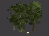 Bäume / trees created by ProgSys
